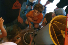 20240609_162135-scaled