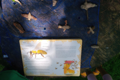 Bienen-basteln-scaled